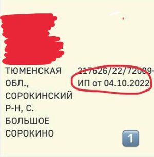 1AFF5777-7CD8-4D86-8D7C-6E304C4A69D5.jpeg