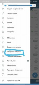 видо 2.jpg