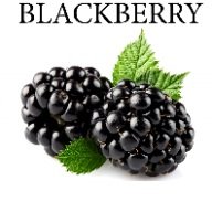 Blackberry