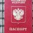 Паспортист